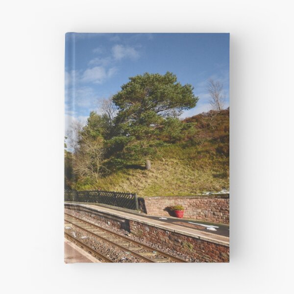 Item preview, Dent Railway Station designed and sold by StephenJSmith.