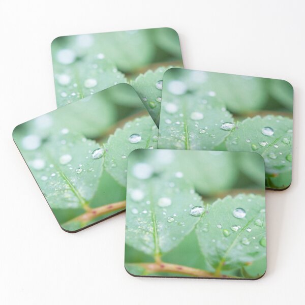 After the rainfall Coasters (Set of 4)
