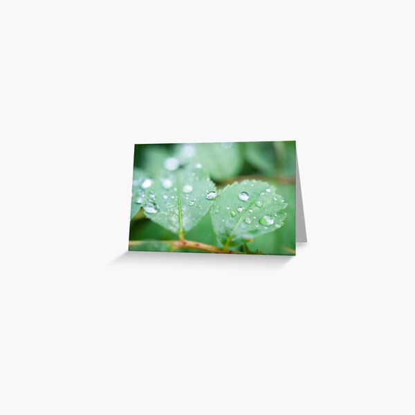 After the rainfall Greeting Card