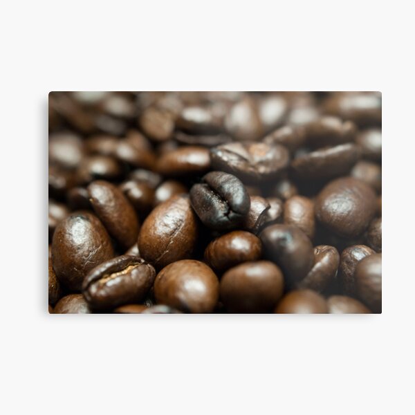 Coffee Bean Close-up Metal Print