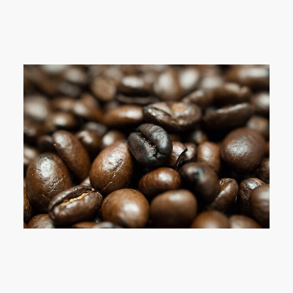 Coffee Bean Close-up Photographic Print