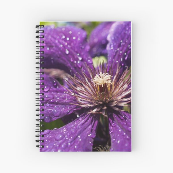 Dew Drops on Purple Flower Spiral Notebook