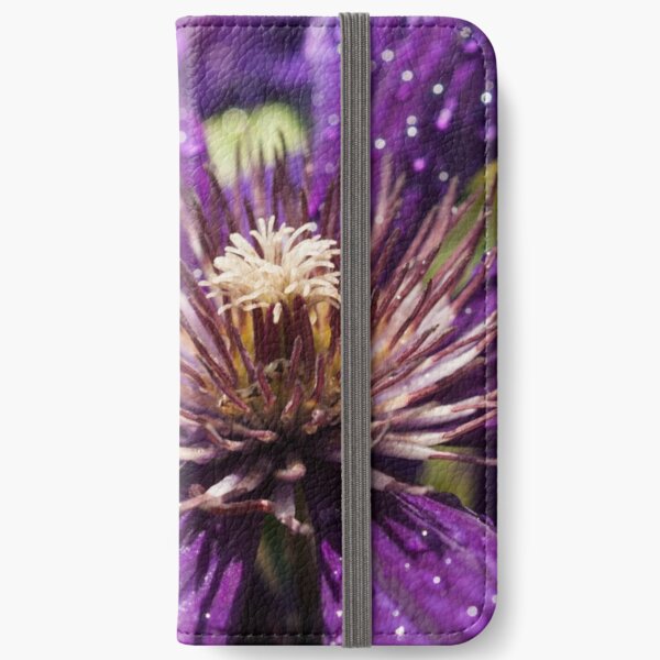 Dew Drops on Purple Flower iPhone Wallet