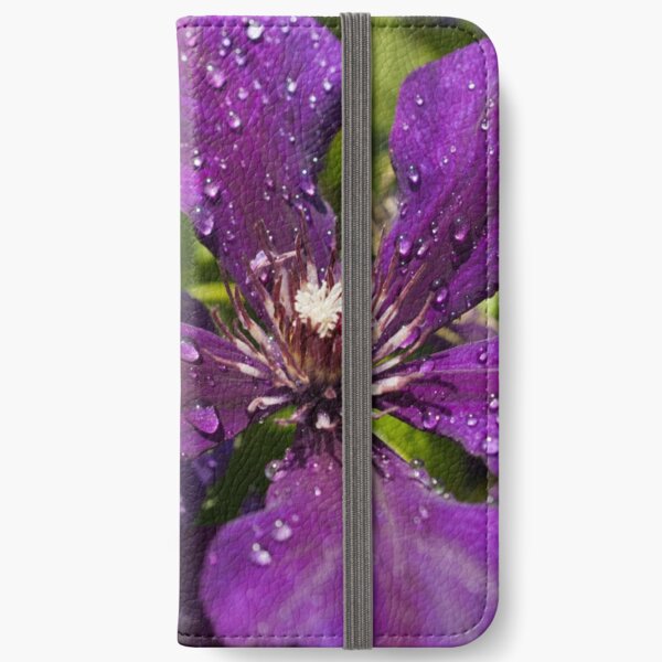 Dew Drops on Purple Flowers iPhone Wallet