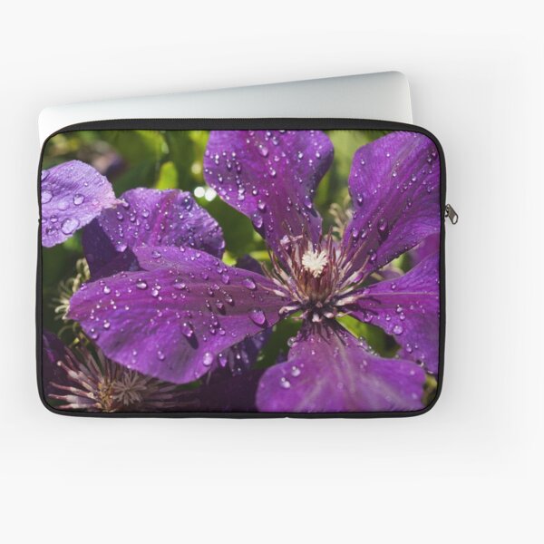 Dew Drops on Purple Flowers Laptop Sleeve