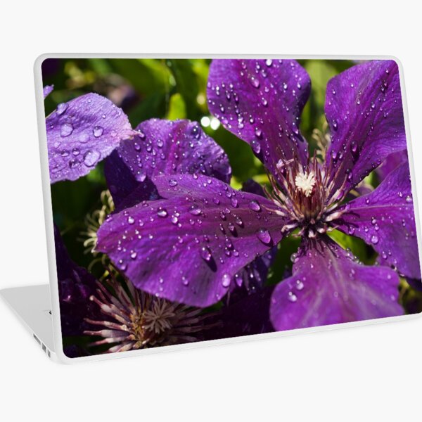 Dew Drops on Purple Flowers Laptop Skin