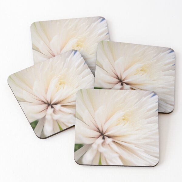 Poofy White Flower Coasters (Set of 4)