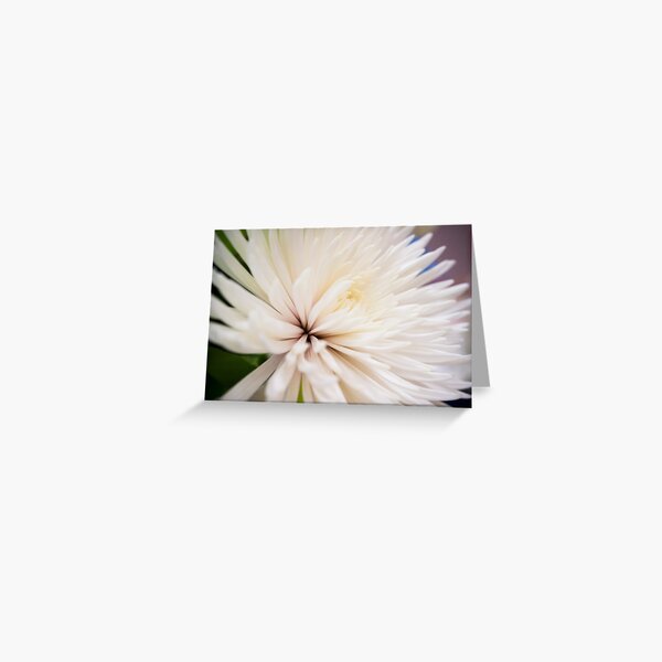 Poofy White Flower Greeting Card