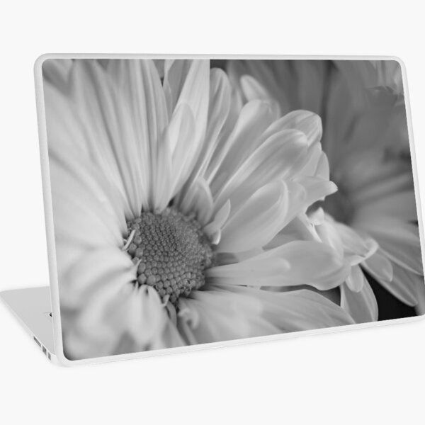 Black & White Daisies Laptop Skin