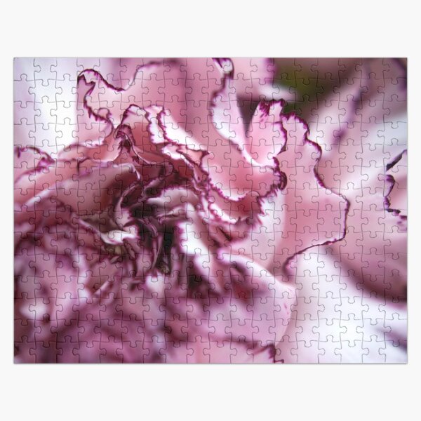 Purple-Edged Carnation Jigsaw Puzzle