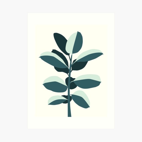 Rubber Tree Art Print