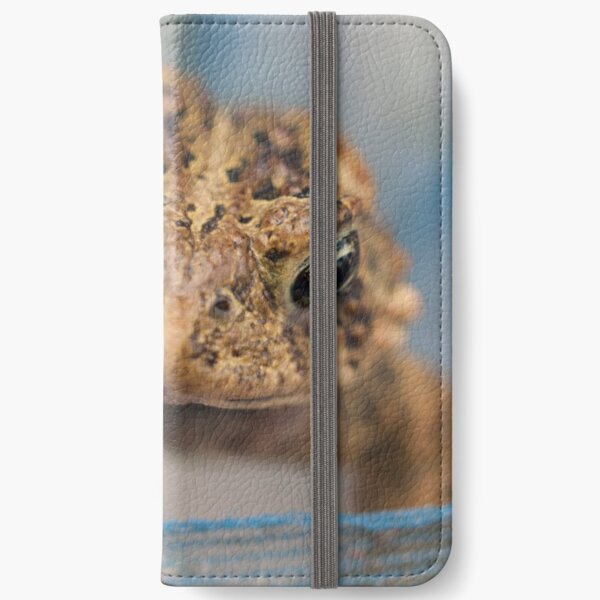 Frog's Close-Up iPhone Wallet