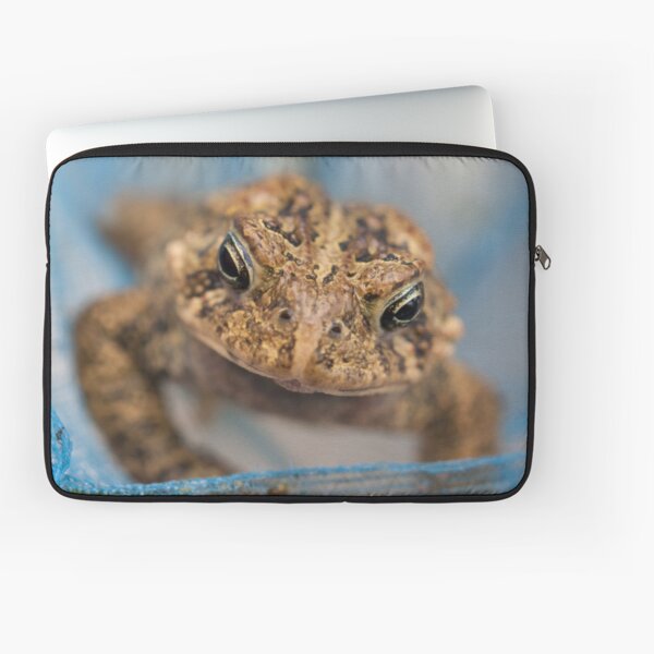Frog's Close-Up Laptop Sleeve