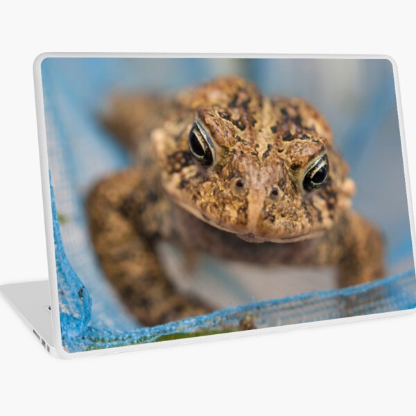 Frog's Close-Up Laptop Skin
