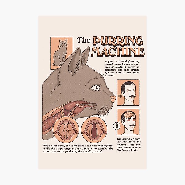 Item preview, The Purring Machine designed and sold by Thiago Corrêa.