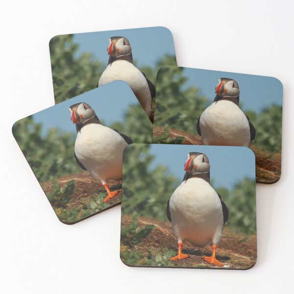 Item preview, Puffin designed and sold by Jon Lees.