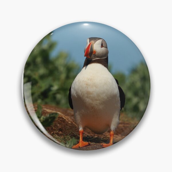 Item preview, Puffin designed and sold by Jon Lees.