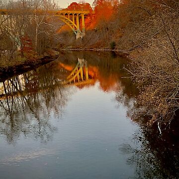 Artwork thumbnail, Autumn in the 216 by ROBERT NIEDERRITER