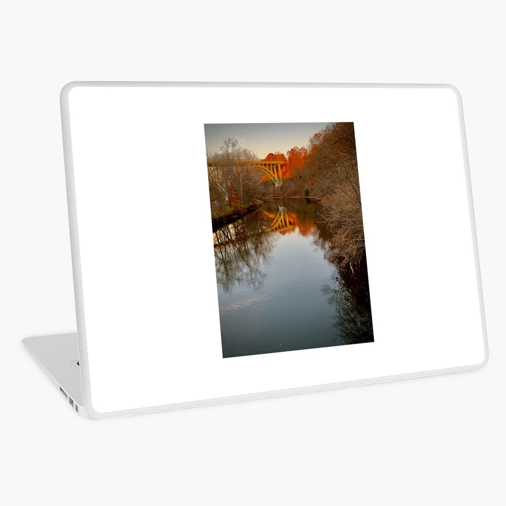 Item preview, Laptop Skin designed and sold by Scooterbob.