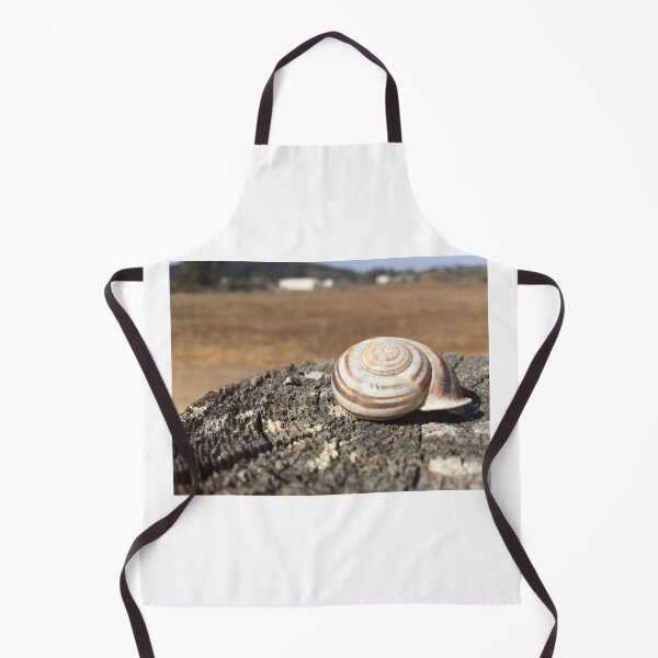 Item preview, Snail shell designed and sold by SashaSprite.