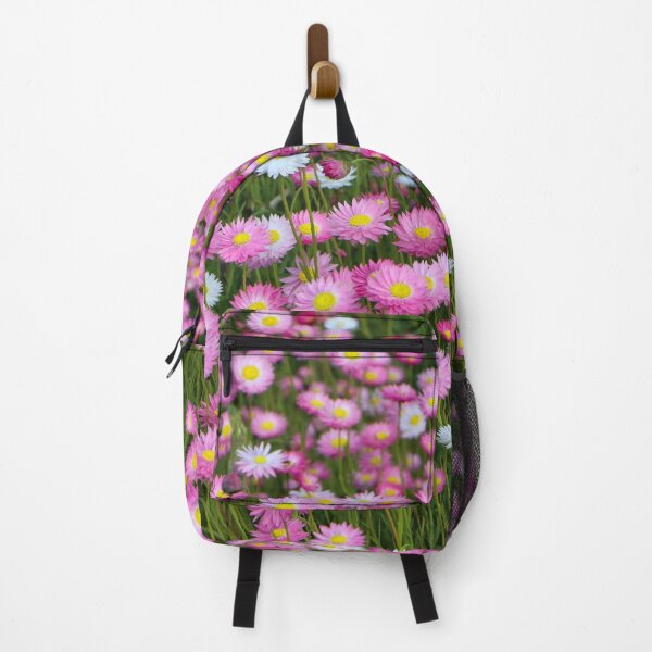 Item preview, Everlastings paper daisies, Western Australia, Australia designed and sold by FranWest.