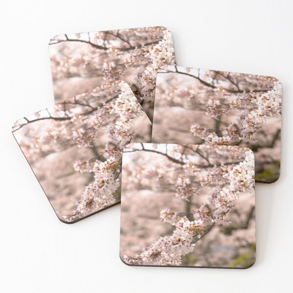 Item preview, White blossoms in Spring portrait, cherry blossoms Japan designed and sold by Norman Repacholi | Keystone Photography.