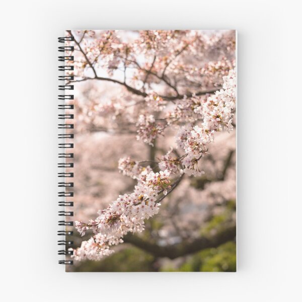 Item preview, White blossoms in Spring portrait, cherry blossoms Japan designed and sold by Norman Repacholi | Keystone Photography.