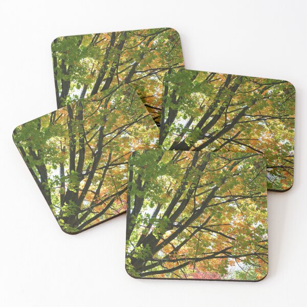 Item preview, Fall Foliage designed and sold by dkaranouh.
