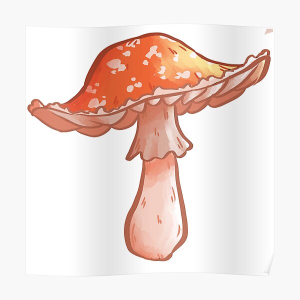 Aesthetic Mushrooms Drawings