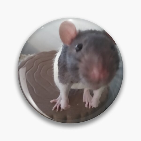Item preview, Abner the rat designed and sold by Suziemarie.