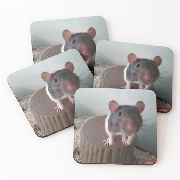 Item preview, Abner the rat designed and sold by Suziemarie.
