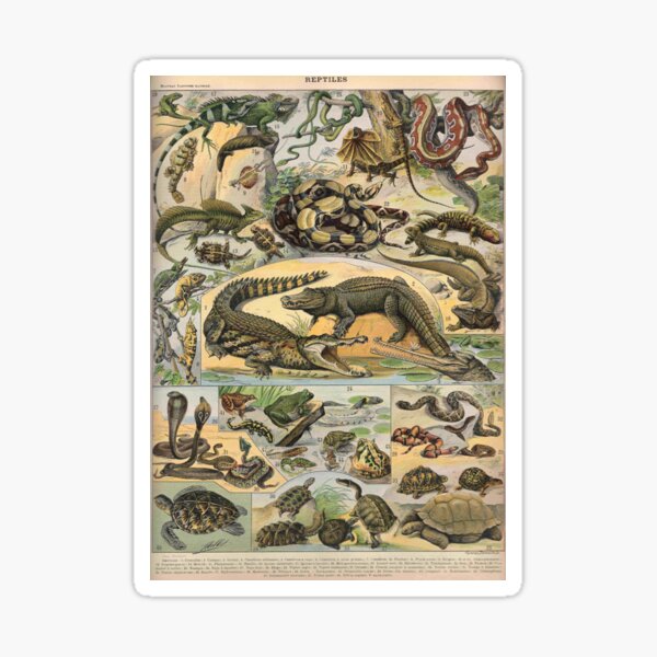 Item preview, Reptiles, illustration by Adolphe Millot designed and sold by Amanda1775.
