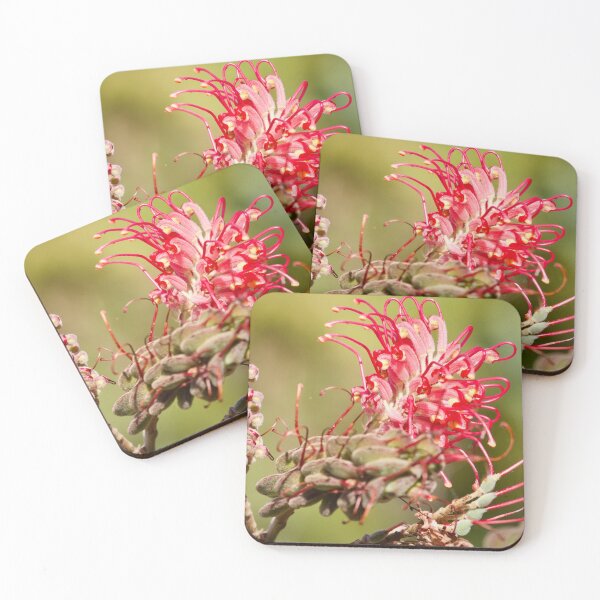 Item preview, Grevillea banksii  designed and sold by MargsNaturePix.