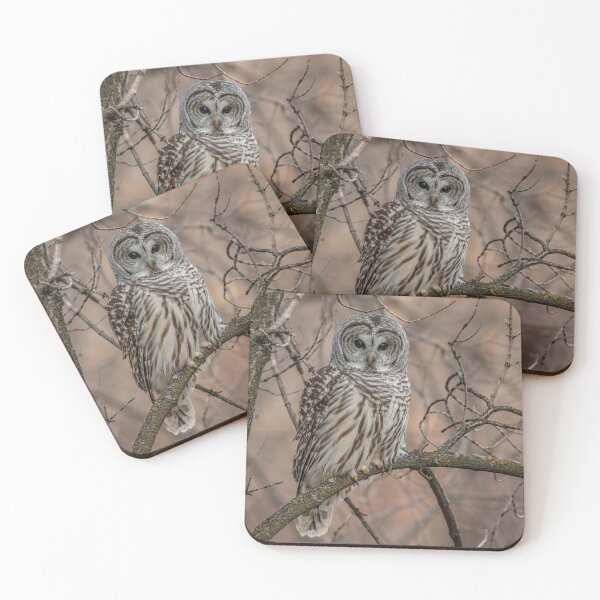 Item preview, Barred Owl Image designed and sold by Vargulich.