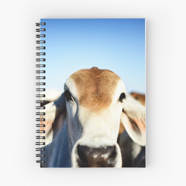 Item preview, Brahman Cow designed and sold by Sampson-et-al.