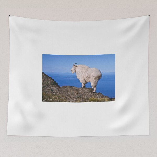 Item preview, Mountain Goat on Klahane Ridge designed and sold by Jeff Goulden Photography.