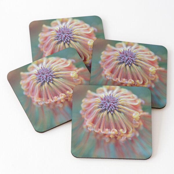 Item preview, 'Rocket Pincushion' Flower Centre designed and sold by imaginethis.
