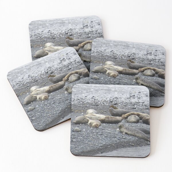 Item preview, Ayakulik Seals designed and sold by Kodiak Apparel and Goods.