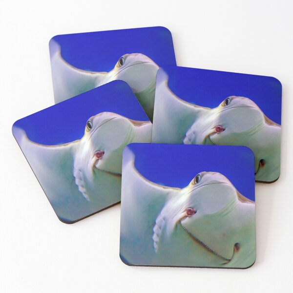 Item preview, Ocean Life - A Shark Ray - Photographic Print designed and sold by nickegglington.
