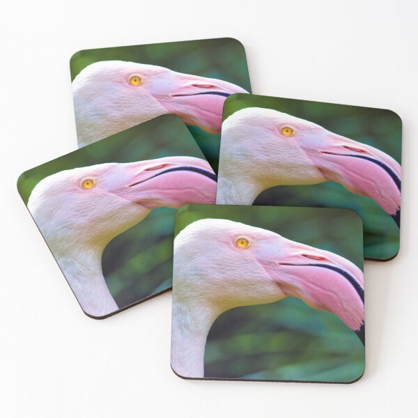 Item preview, Exotic Birds - A Pink Flamingo - Photographic Print designed and sold by nickegglington.