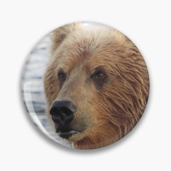 Artikelvorschau, Kodiak Brown Bear Sow, Fluss Ayakulik entworfen und verkauft von Kodiak Apparel and Goods.
