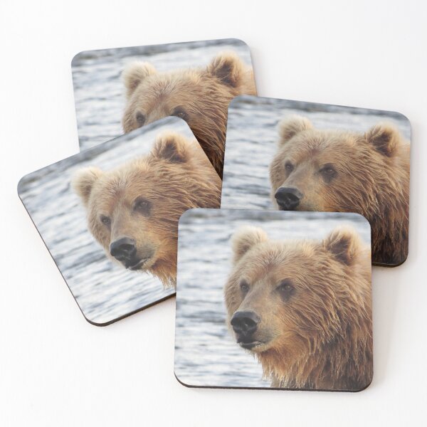 Item preview, Kodiak Brown Bear Sow, Ayakulik River designed and sold by Kodiak Apparel and Goods.