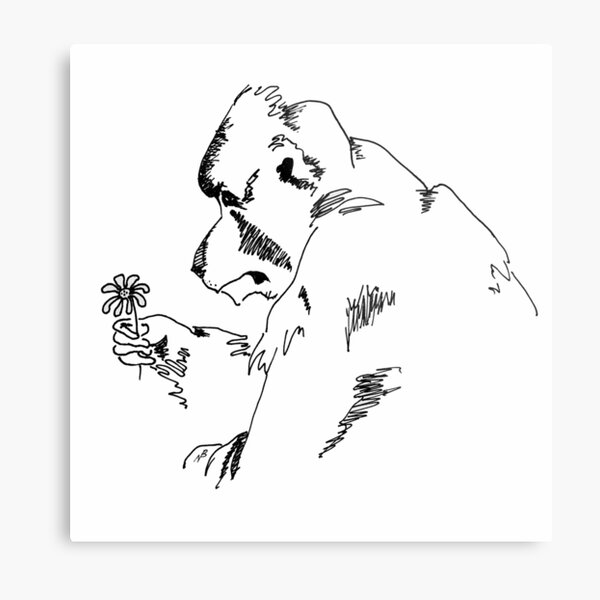 Hamadryas Baboon with Flower Metal Print