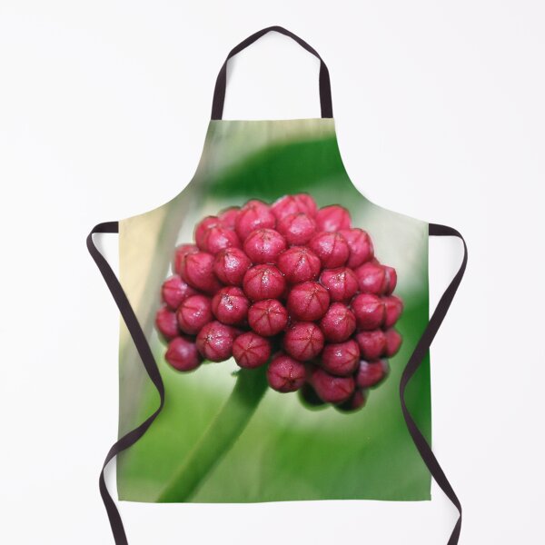 Item preview, Red Berri designed and sold by XCEEDTRANSITION.