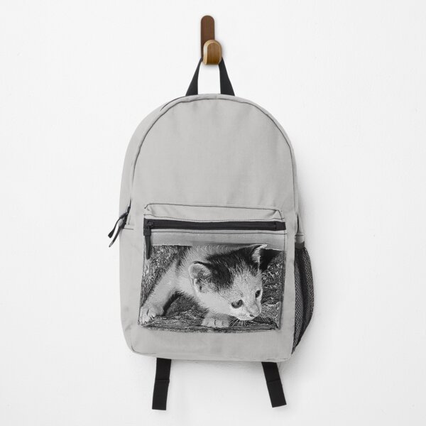 Item preview, Is it safe? Little kitty designed and sold by MarionsArt.