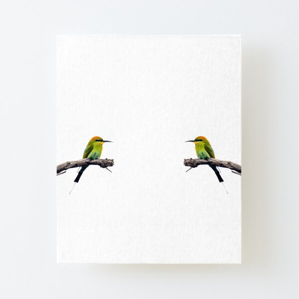 Rainbow Bee Eater Canvas Mounted Print