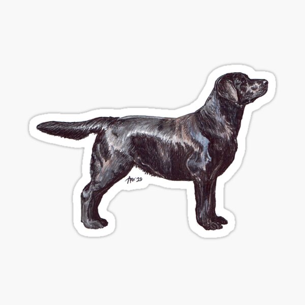 Item preview, Labrador Dog Breed Show Stack Stand designed and sold by Amber Westwood.