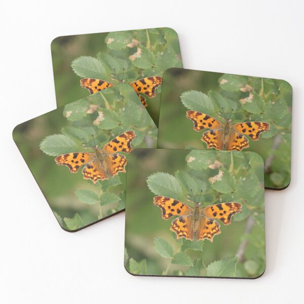 Item preview, C-folder designed and sold by NW-Photo-Art.