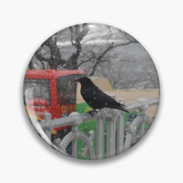 Item preview, Raven on a Railing designed and sold by justbmac.