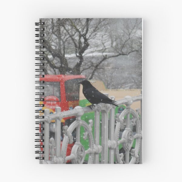 Item preview, Raven on a Railing designed and sold by justbmac.